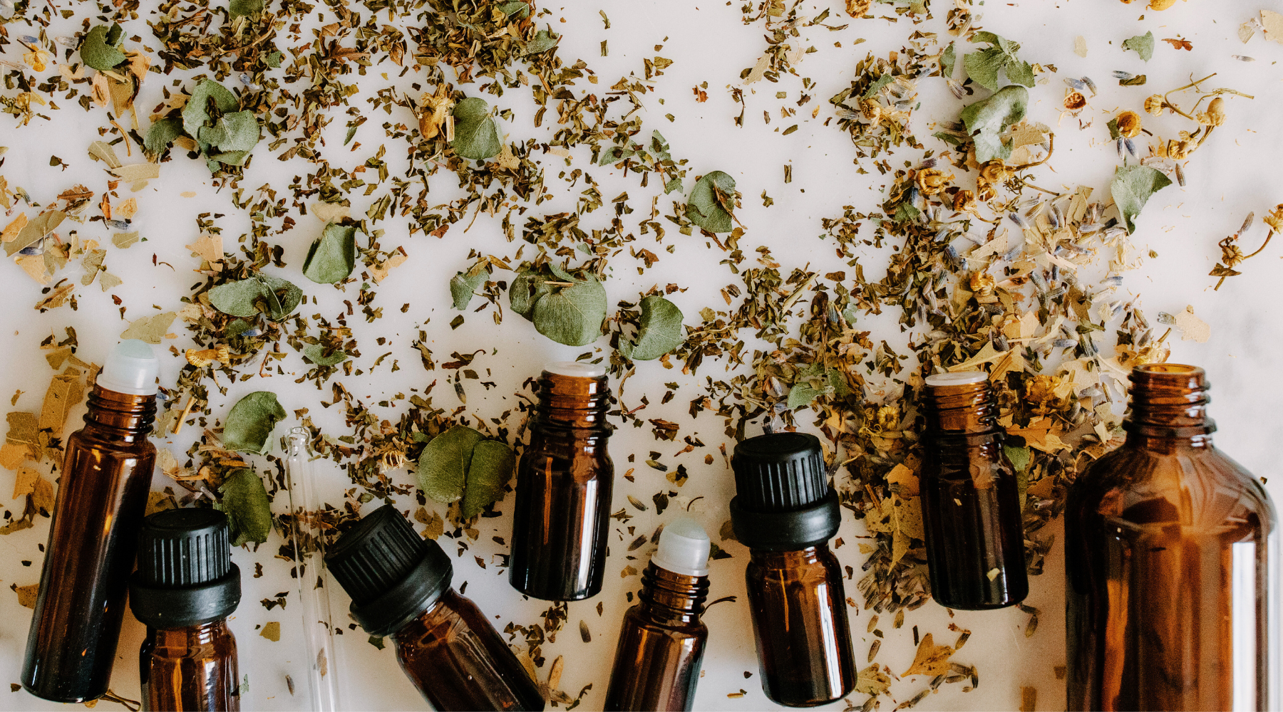 antibacterial and immune supporting essential oils