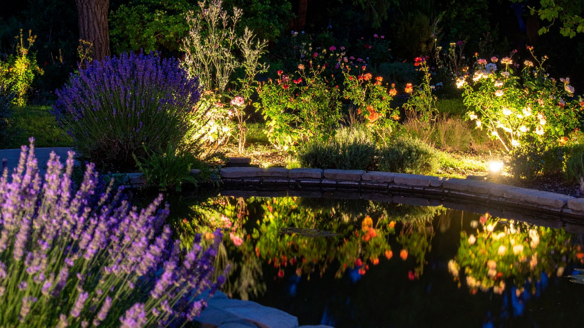 Garden with herbs, evening no bugs