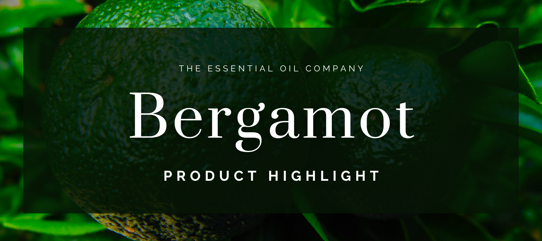 bergamot essential oil product highlight