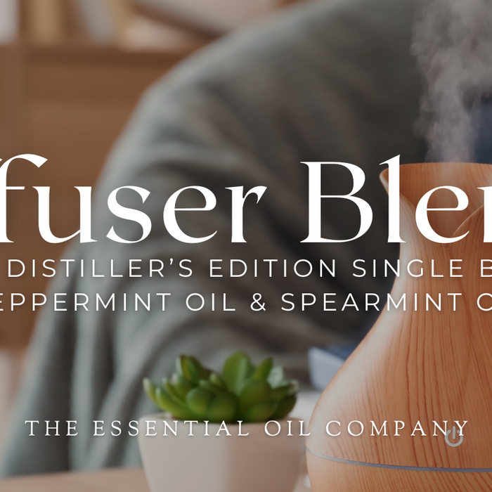Diffuser Blends with Distiller’s Edition Single Batch Peppermint Oil & Spearmint Oil 