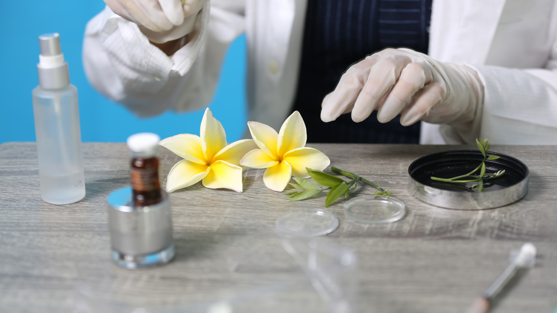 What Counts as a “Natural” Fragrance? A Closer Look