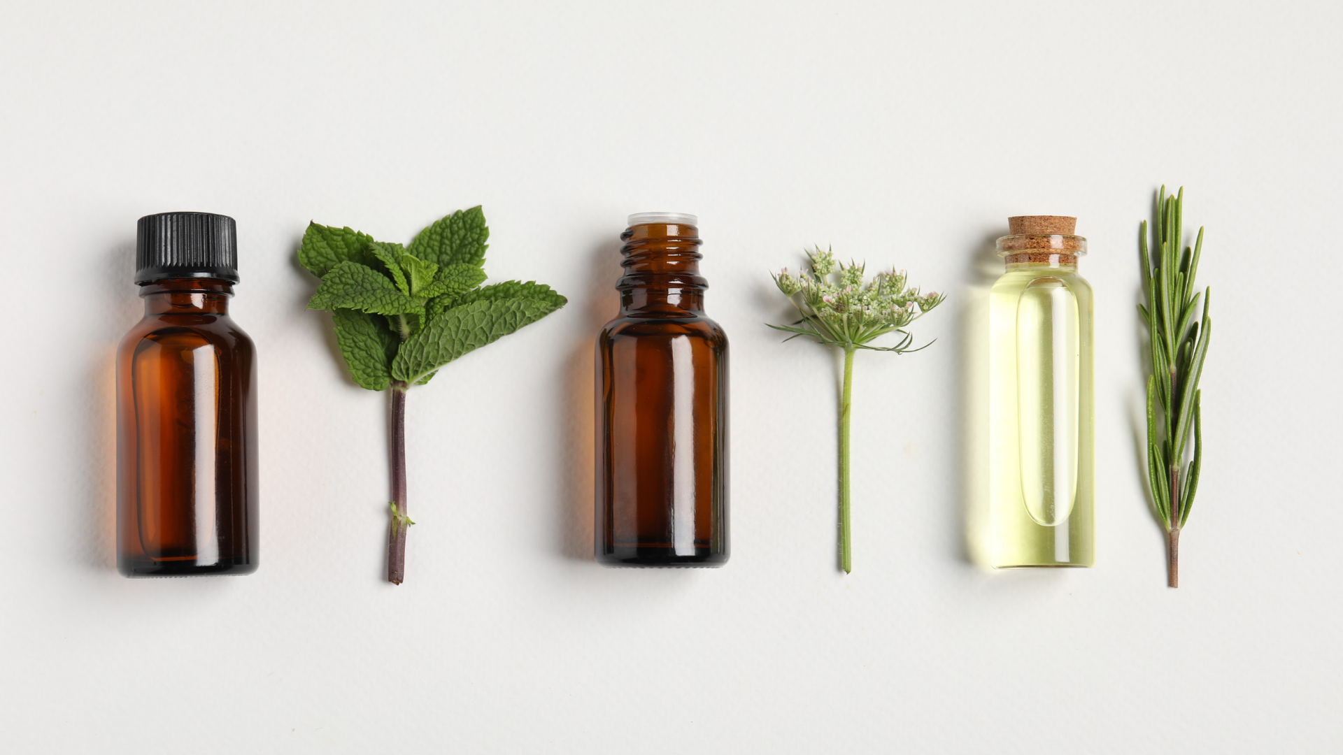 Essential Oil Research Library
