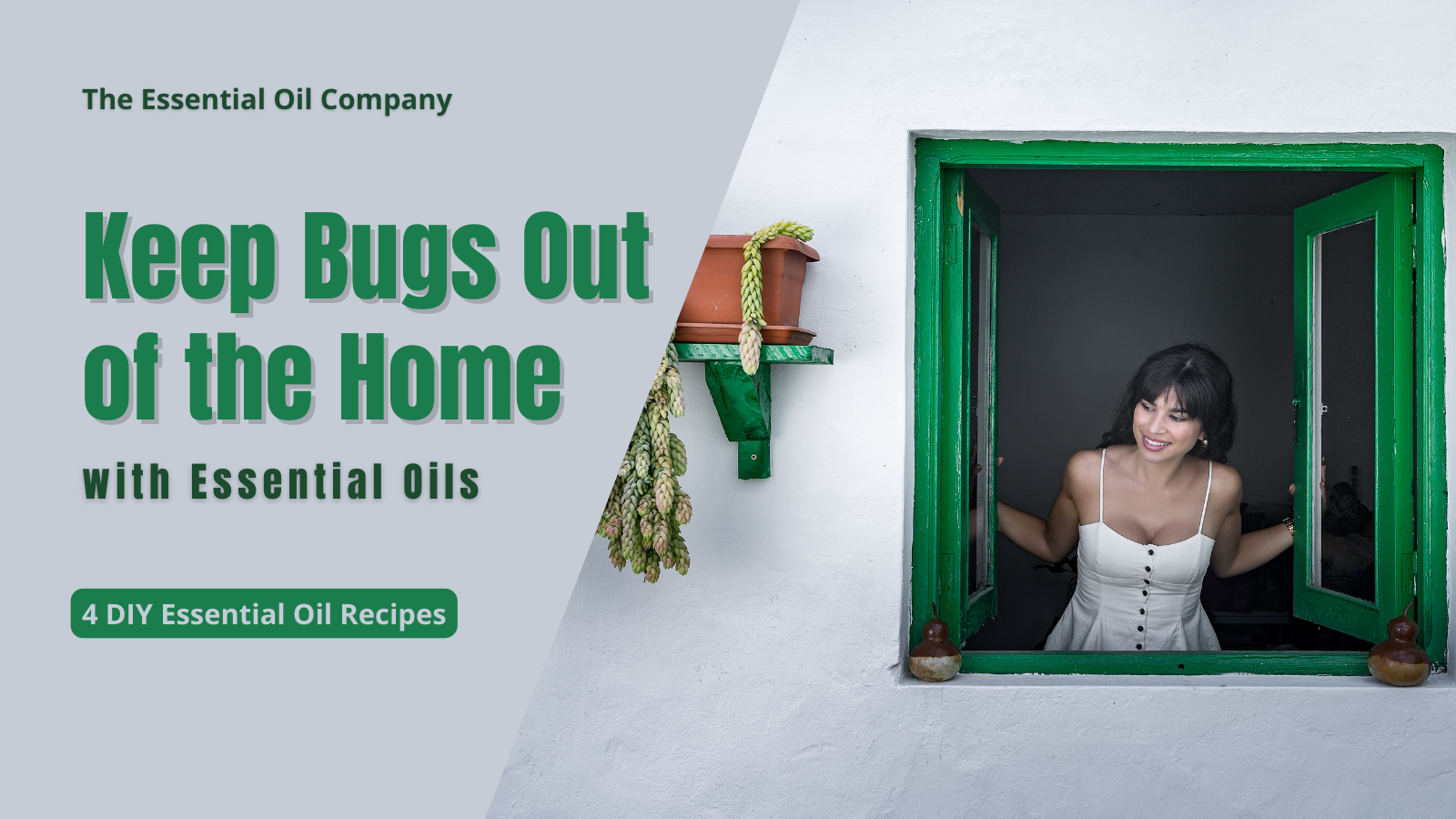 Keep Bugs Out of the Home with Essential Oils