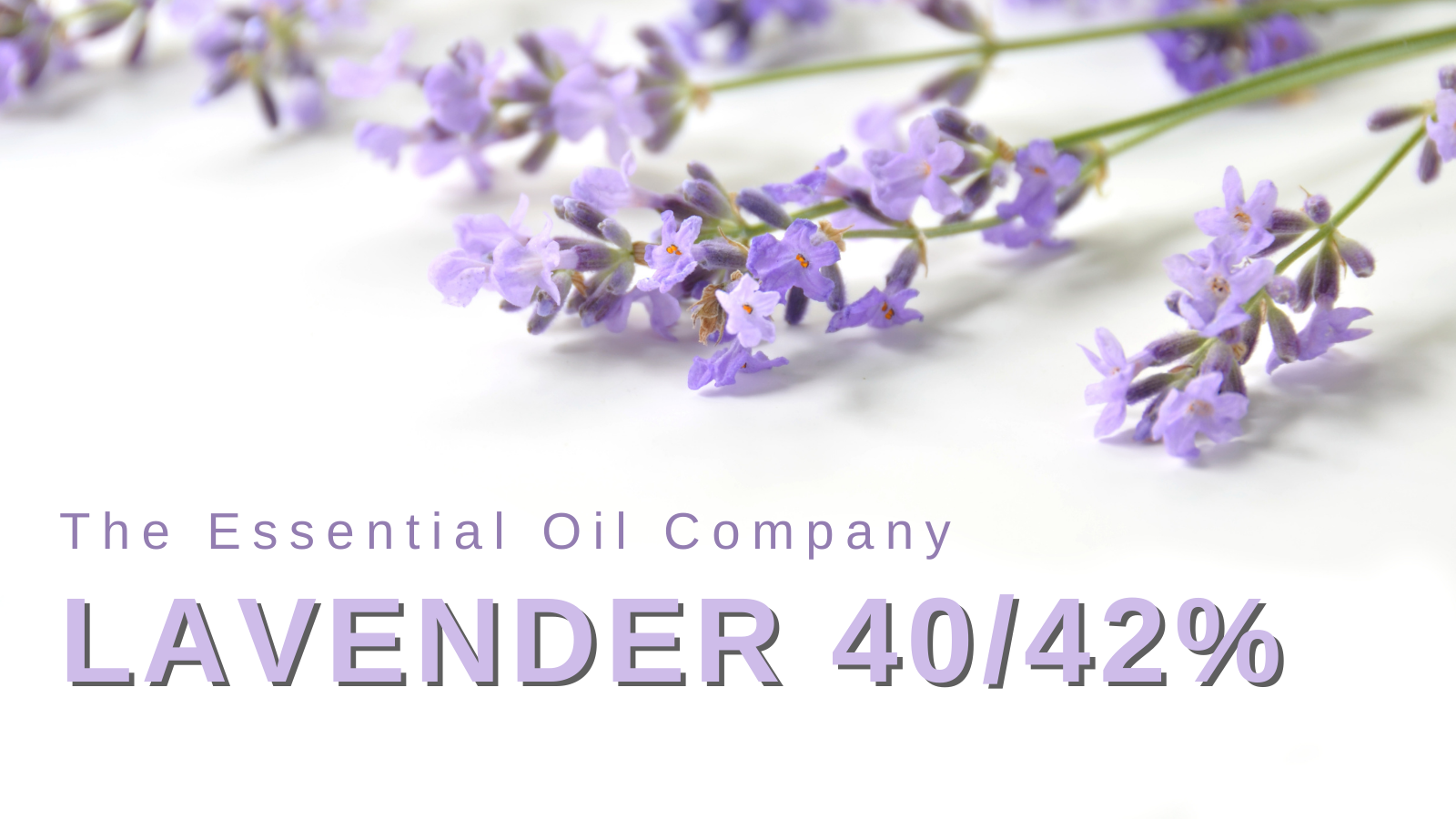 Lavender 40/42 Essential Oil