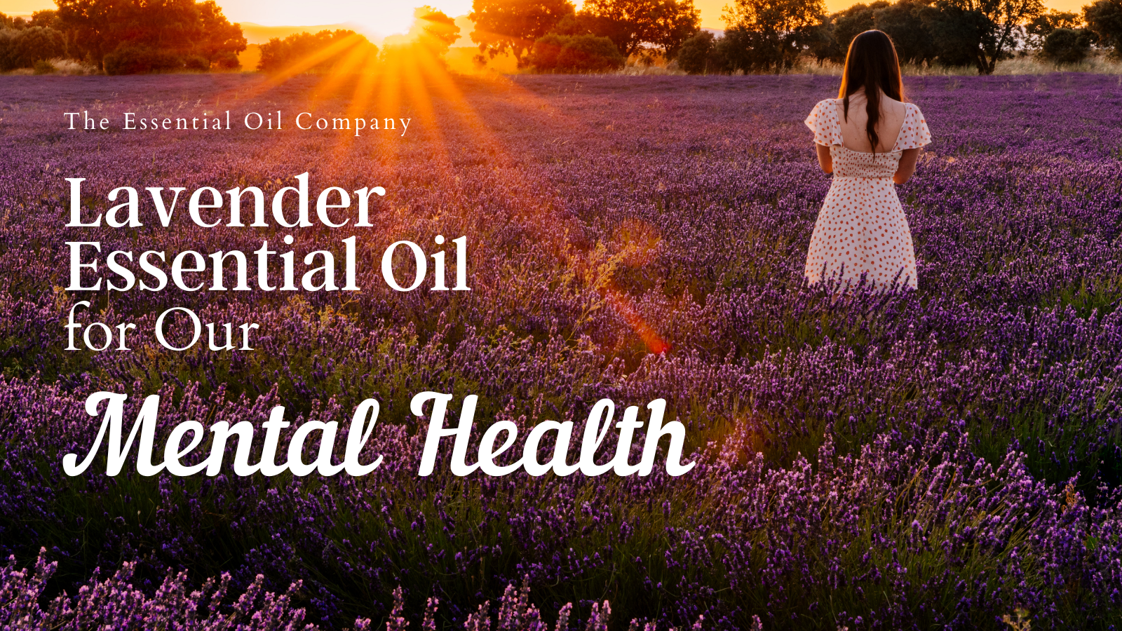 Lavender essential oil for Mental Health