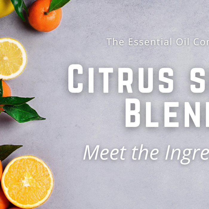 Citrus Shine Blend: Meet the Ingredients