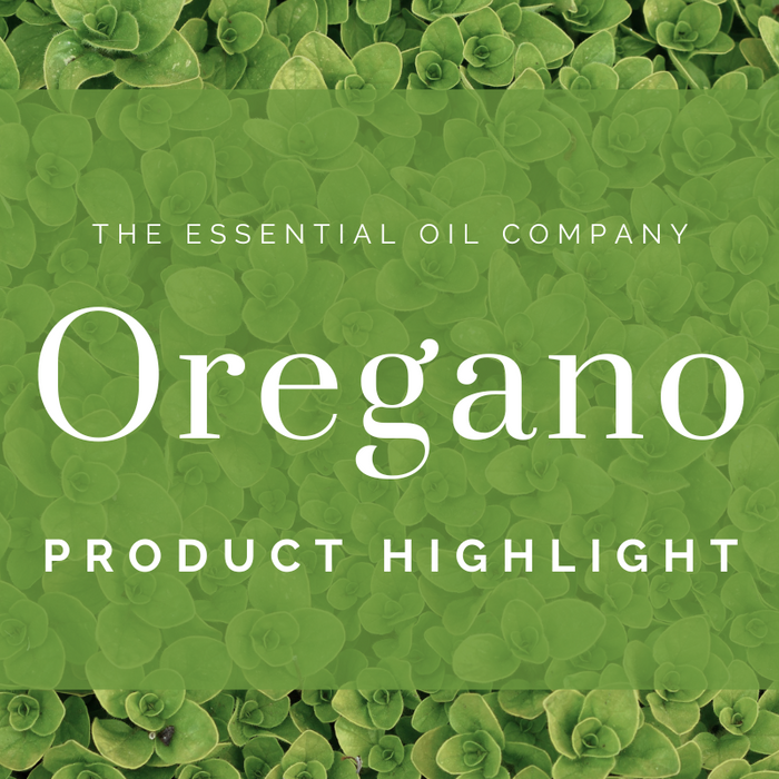 Oregano: Product Highlight