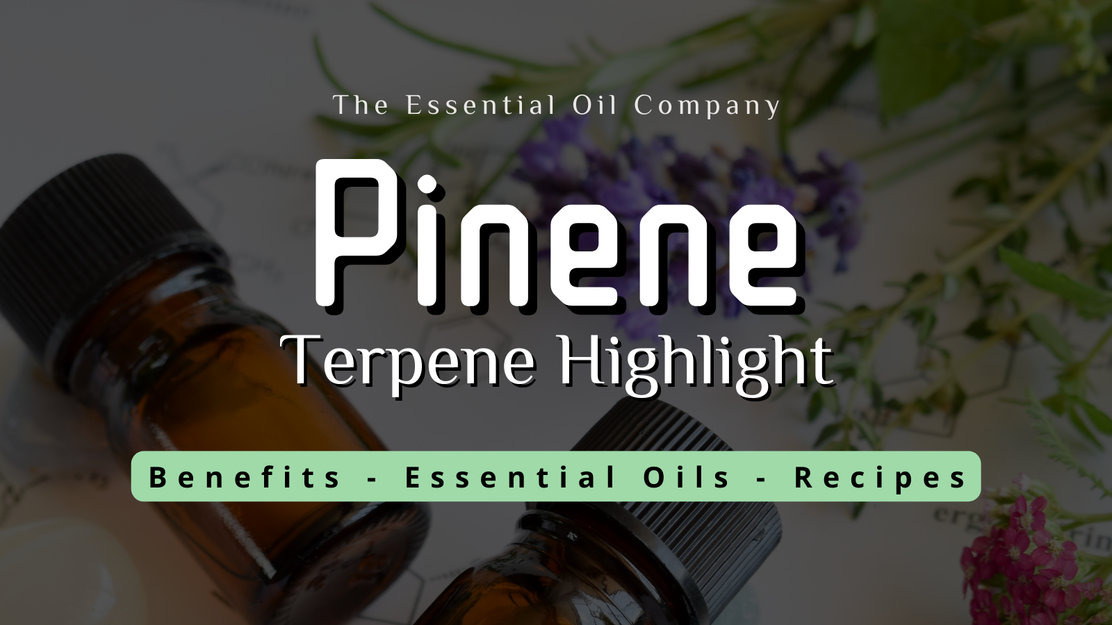 Pinene Terpene Highlight