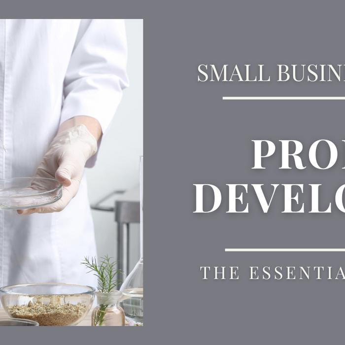 Small Business Beginners: Product Development