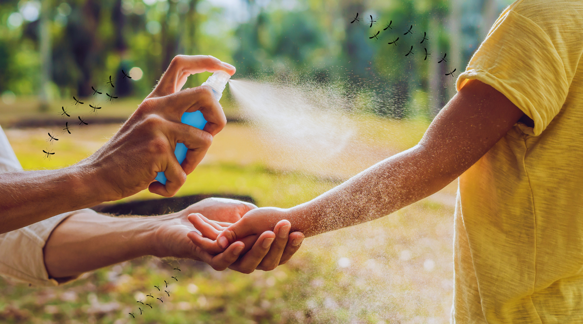 Top 8 Essential Oils for Bug Repellent & Bug Bite Aftercare