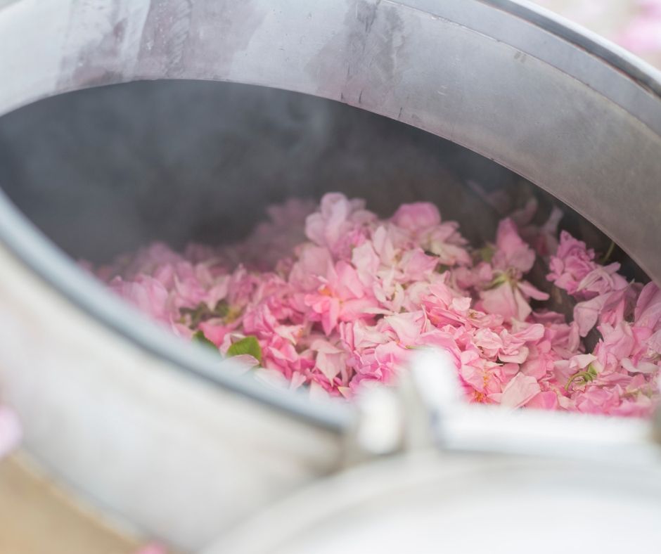Rose essential oil distillery
