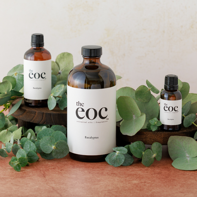 Eucalyptus