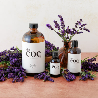 Lavender Bulgarian