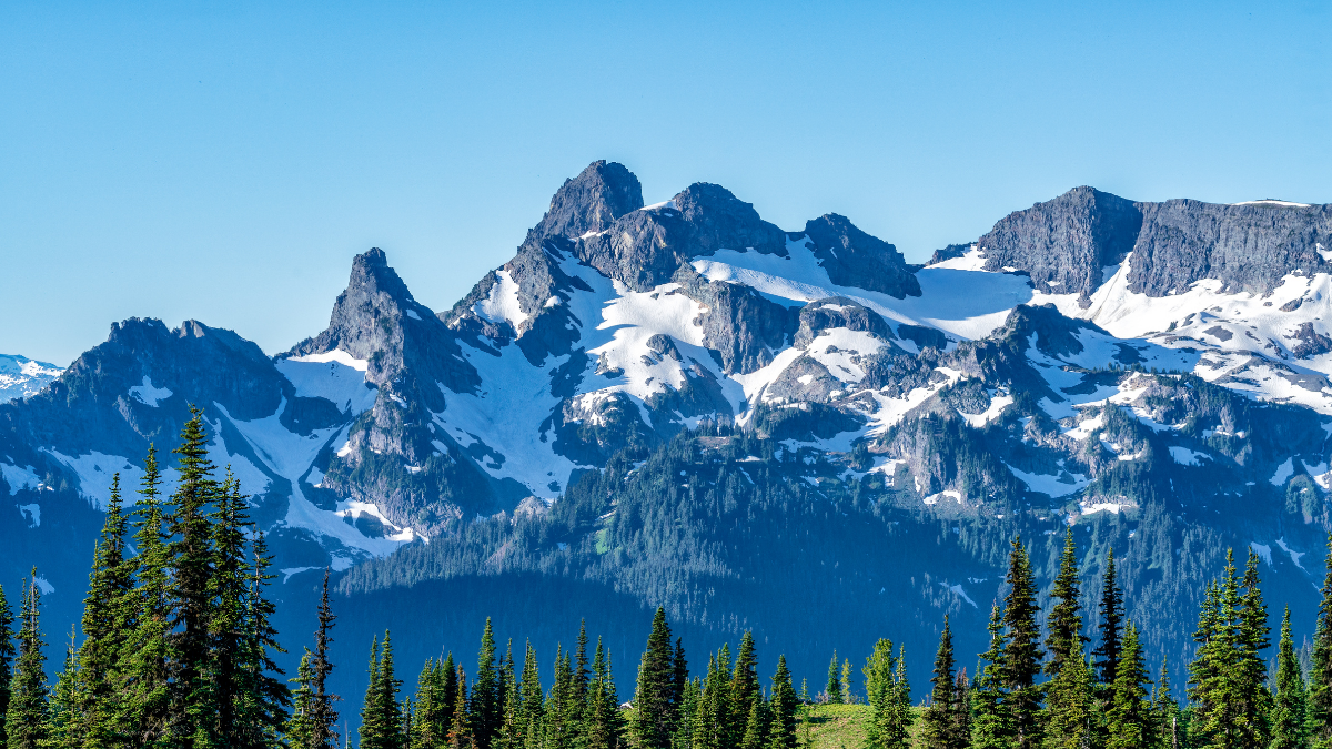 Crisp Mountain Air