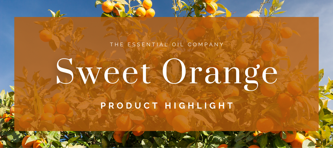 Sweet Orange: Product Highlight