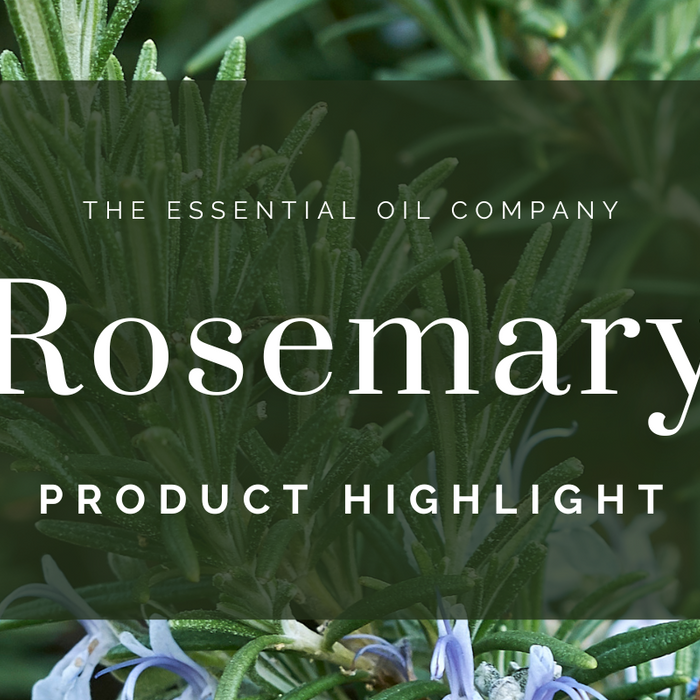 Rosemary: Product Highlight