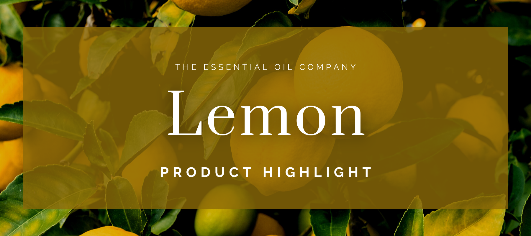 Lemon Essential Oils