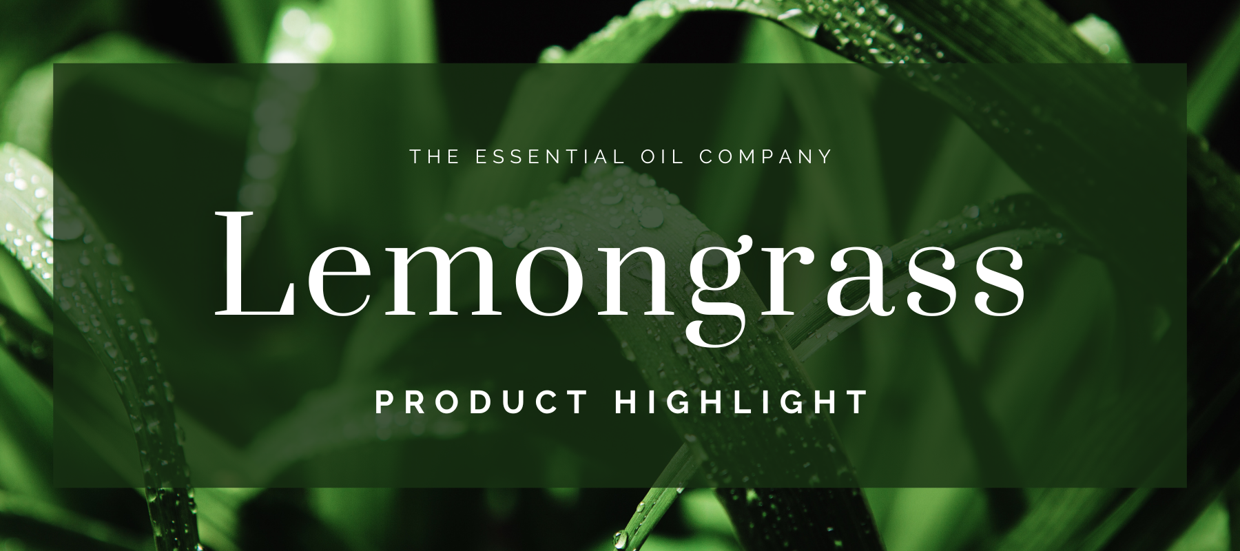Lemongrass: Product Highlight
