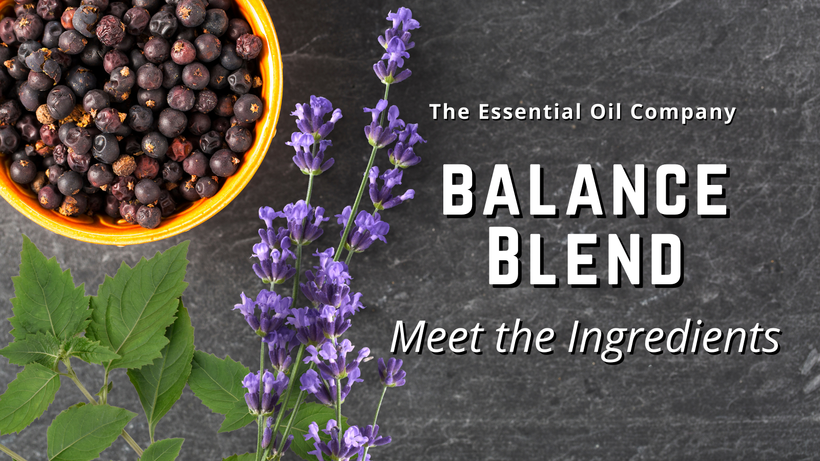 Balance Blend: Meet the Ingredients