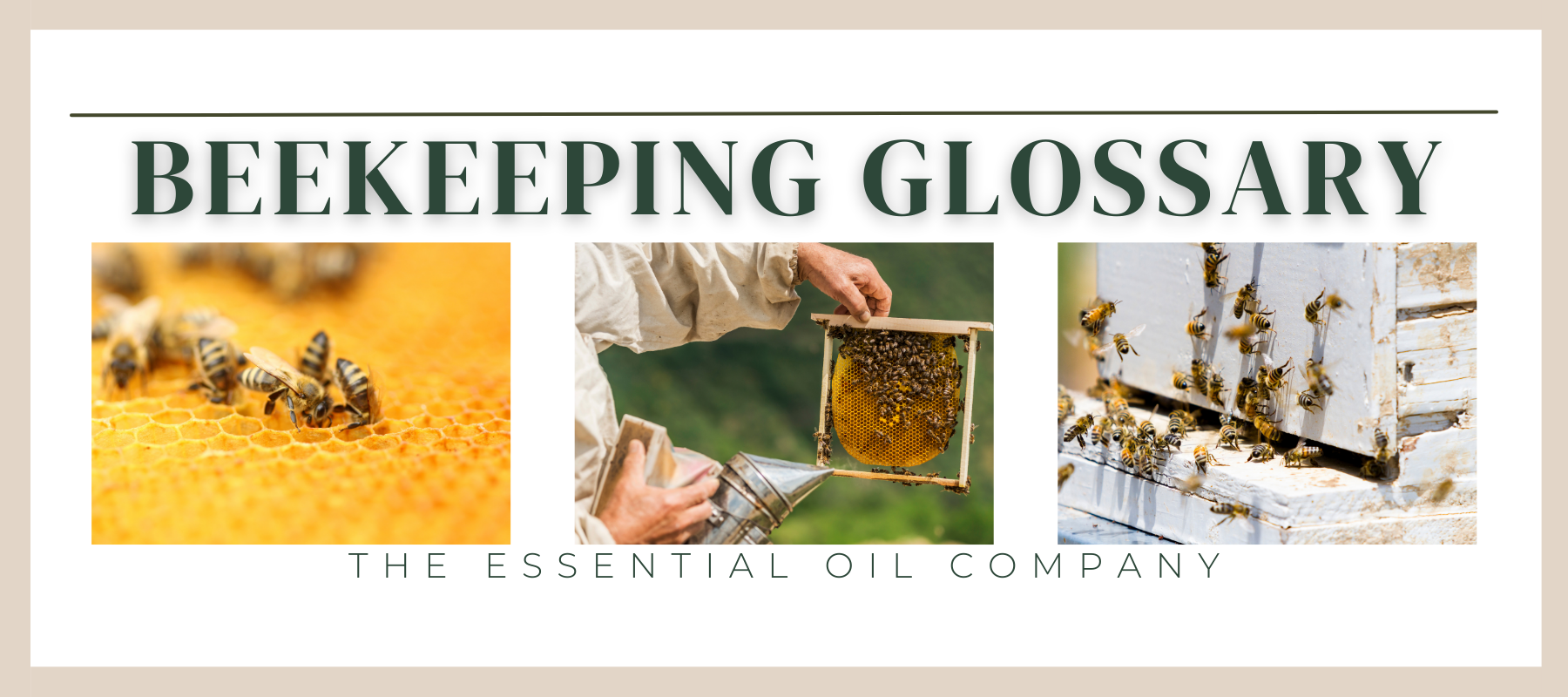 Beekeeping Glossary Essential Oils