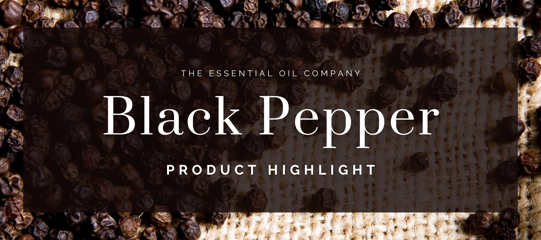 Black Pepper: Product Highlight
