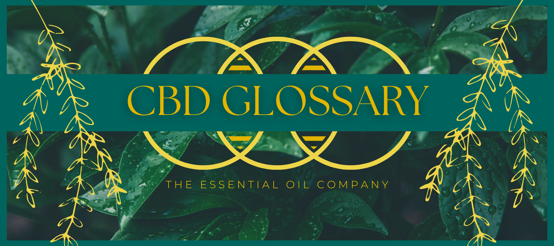 cbd glossary essential oils