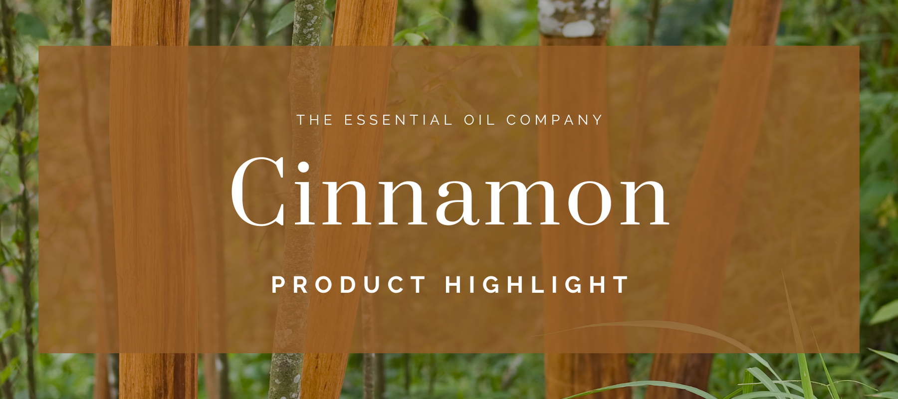 Cinnamon: Product Highlight