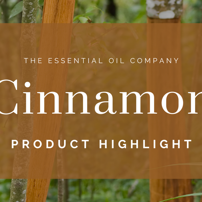 Cinnamon: Product Highlight