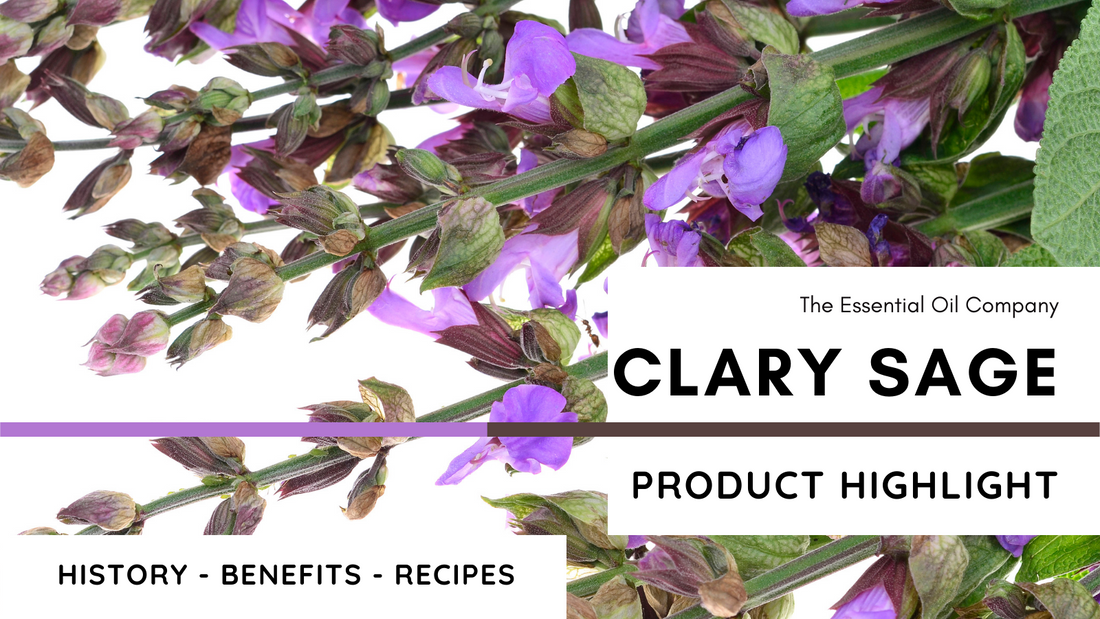 Clary Sage Essential Oil