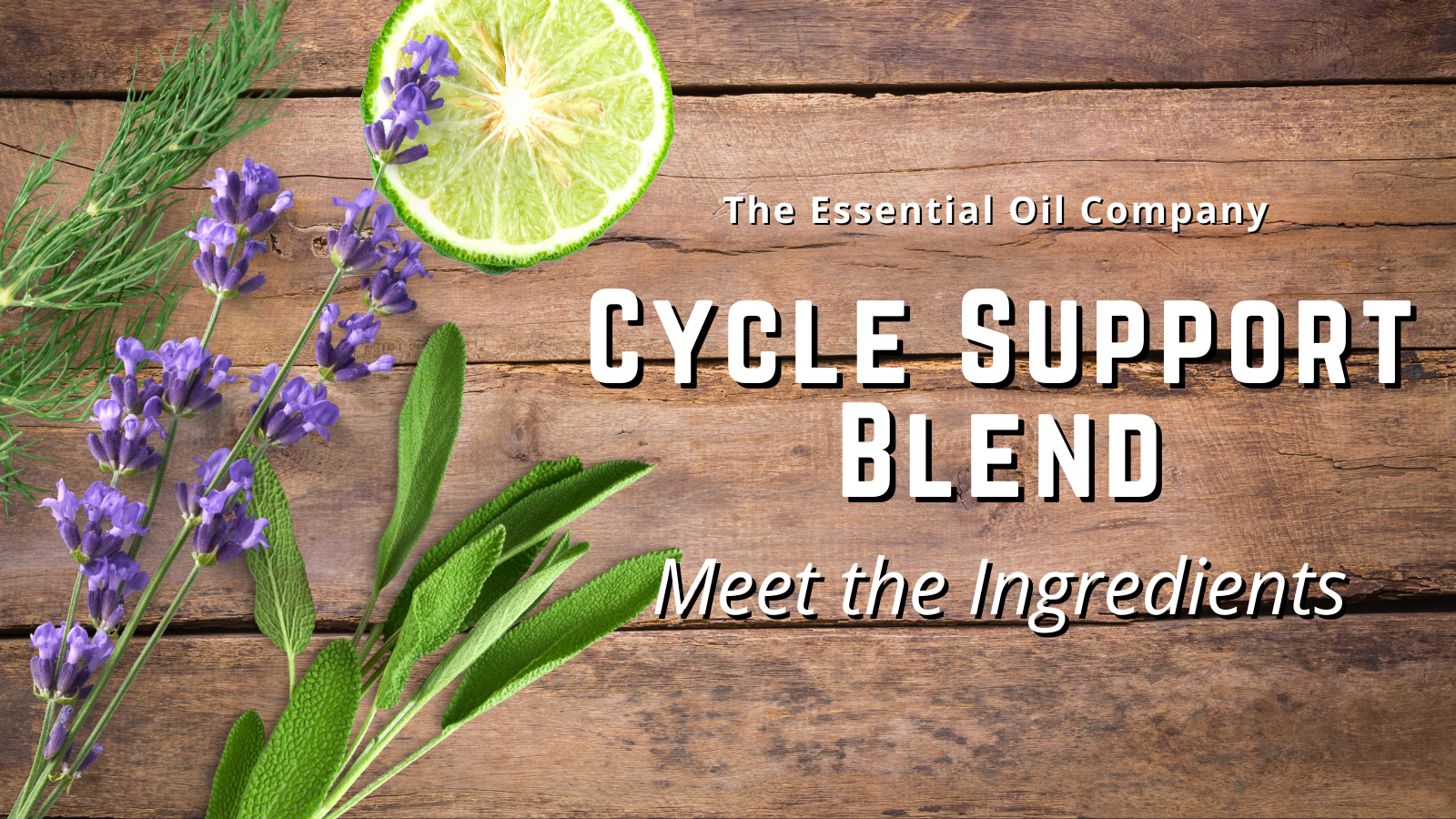 Cycle Support Blend: Meet the Ingredients