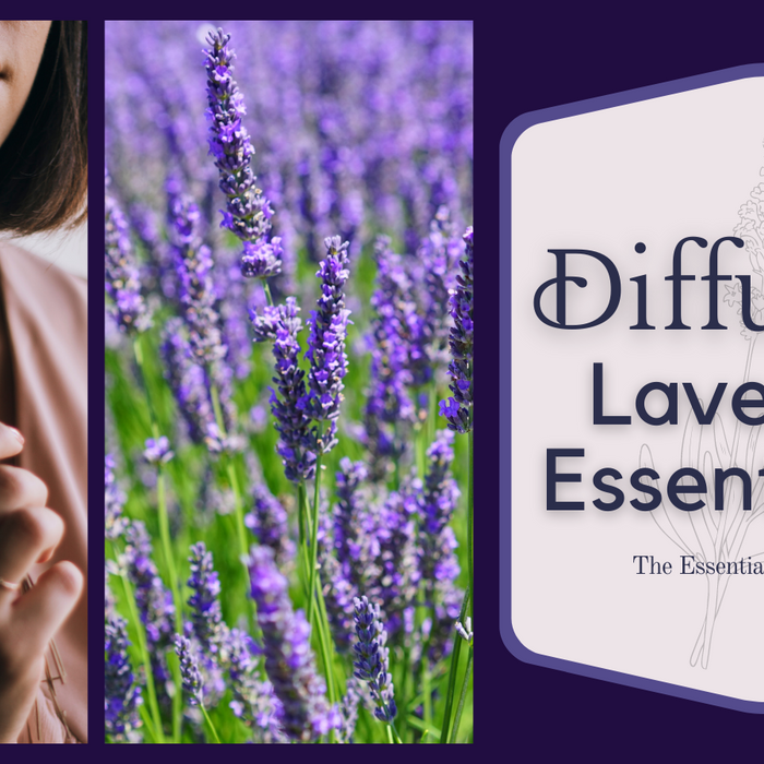 diffusing lavender essential oil