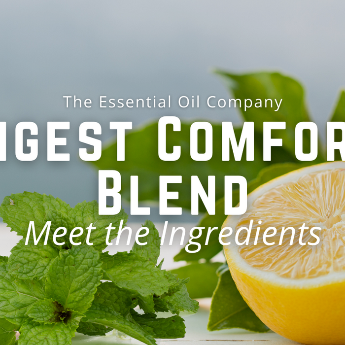 Digest Comfort Blend: Meet the Ingredients