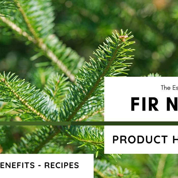 Fir Needle: Product Highlight