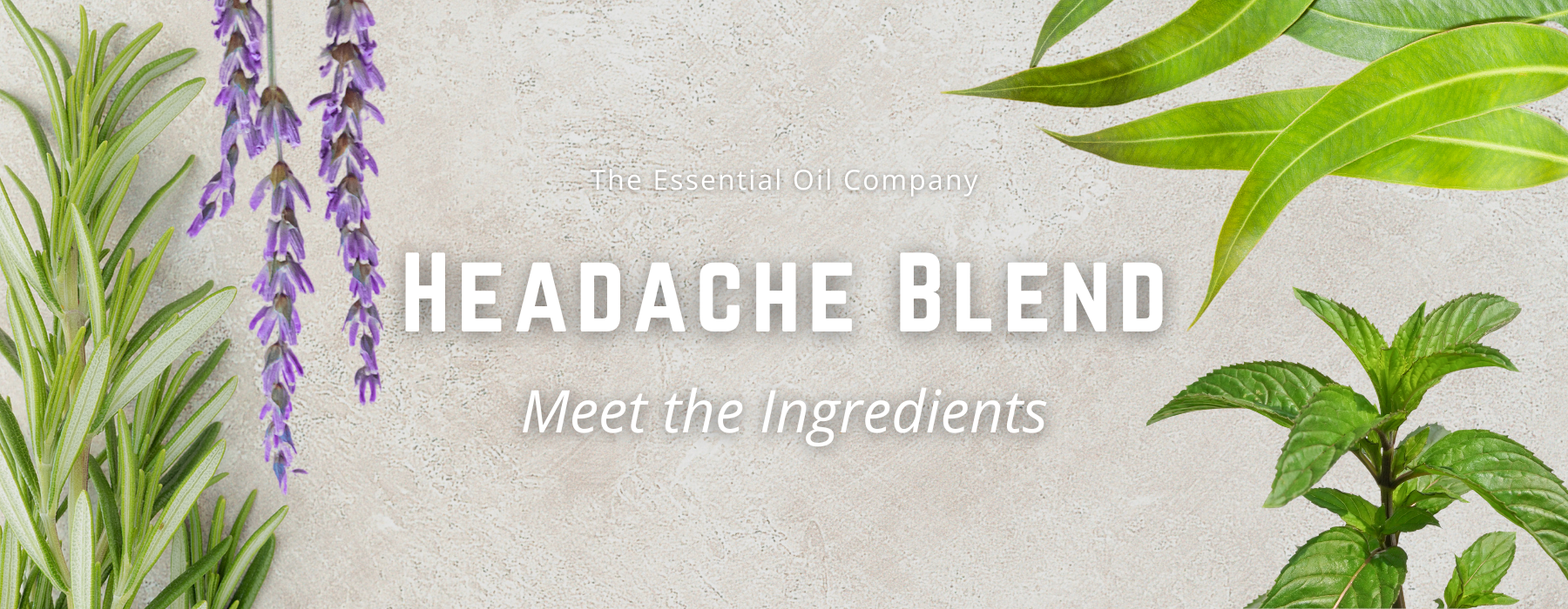 Headache Blend: Meet the Ingredients