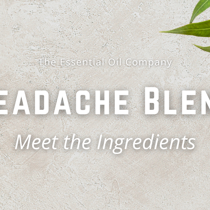 Headache Blend: Meet the Ingredients