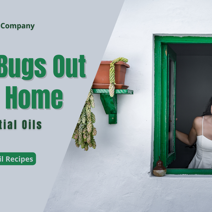 Keep Bugs Out of the Home with Essential Oils