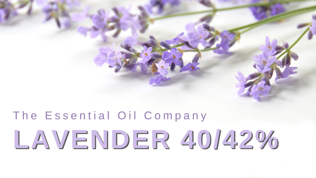 Lavender 40/42 Essential Oil