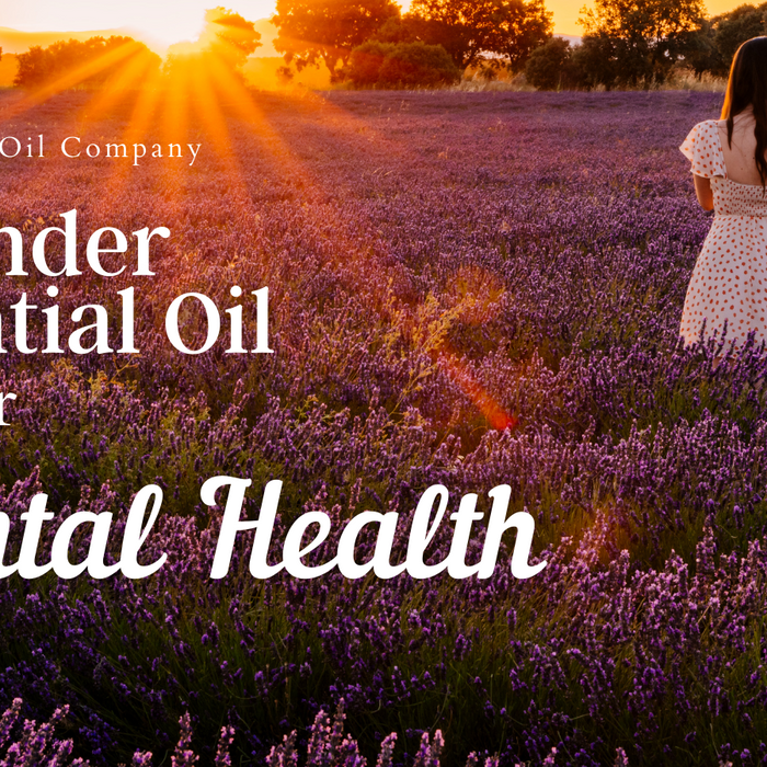 Lavender essential oil for Mental Health