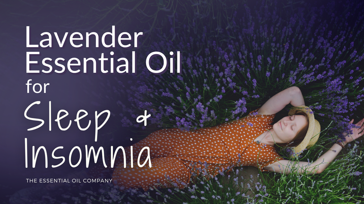 Lavender Essential Oil for Sleep & Insomnia – The Essential Oil Company