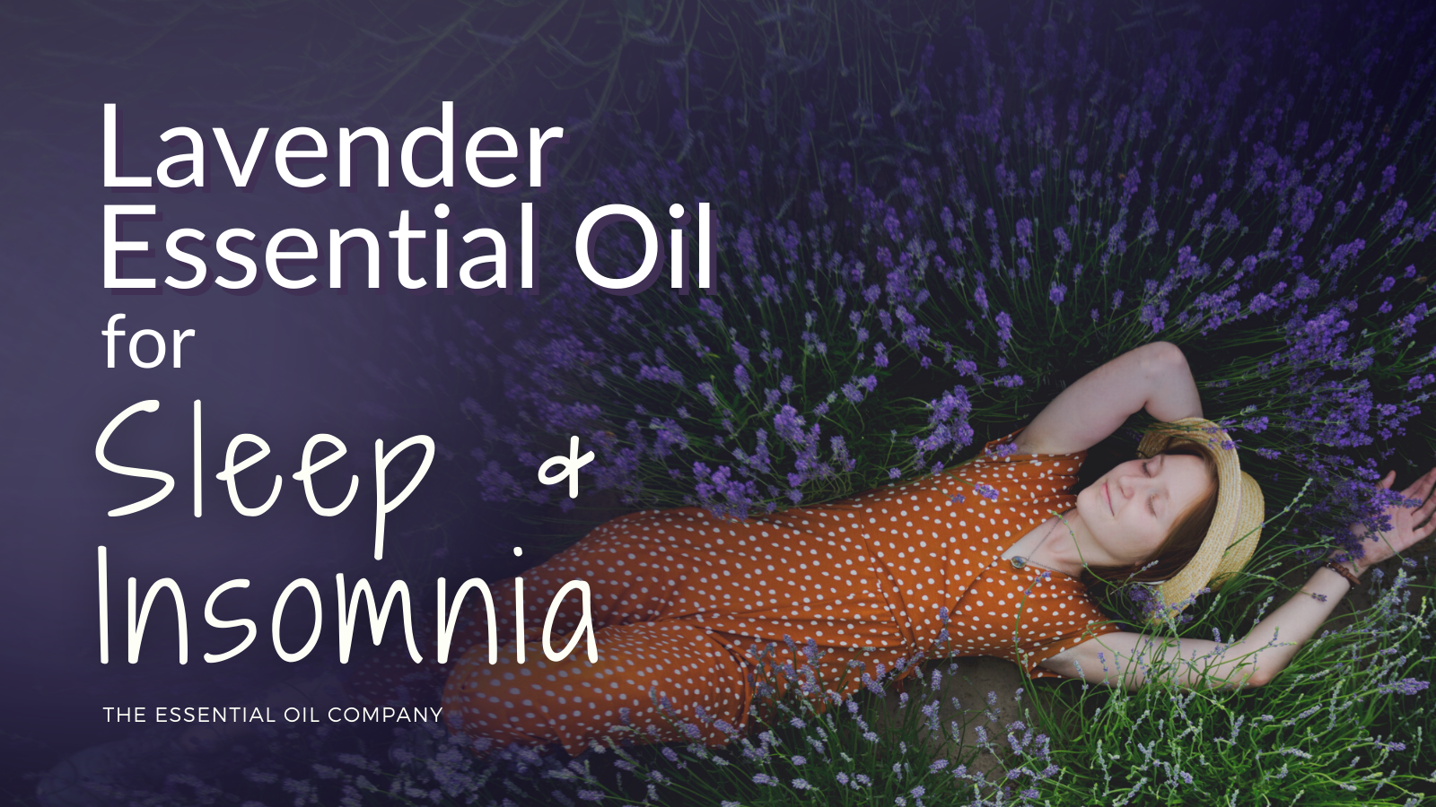 lavender for sleep and insomnia essential oils
