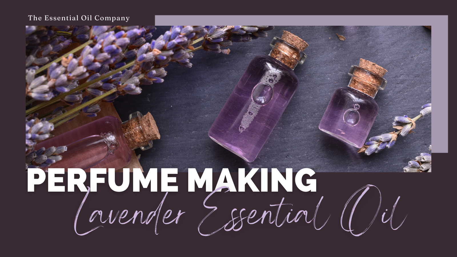 lavender essential oil for perfume making