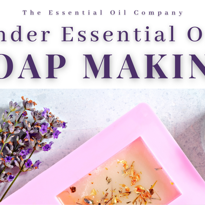 lavender fir soap making