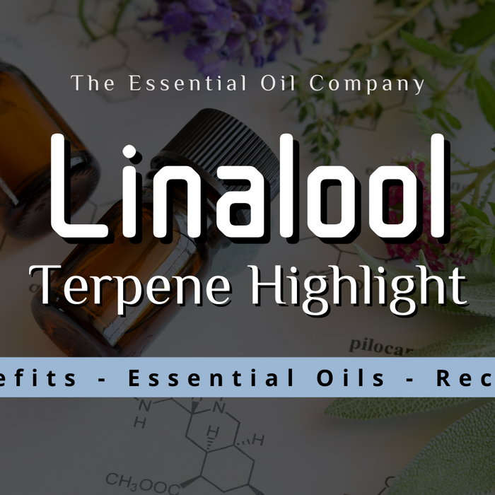 Linalool: Terpene Highlight