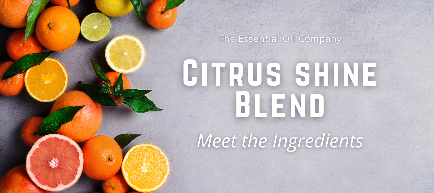 Citrus Shine Blend: Meet the Ingredients