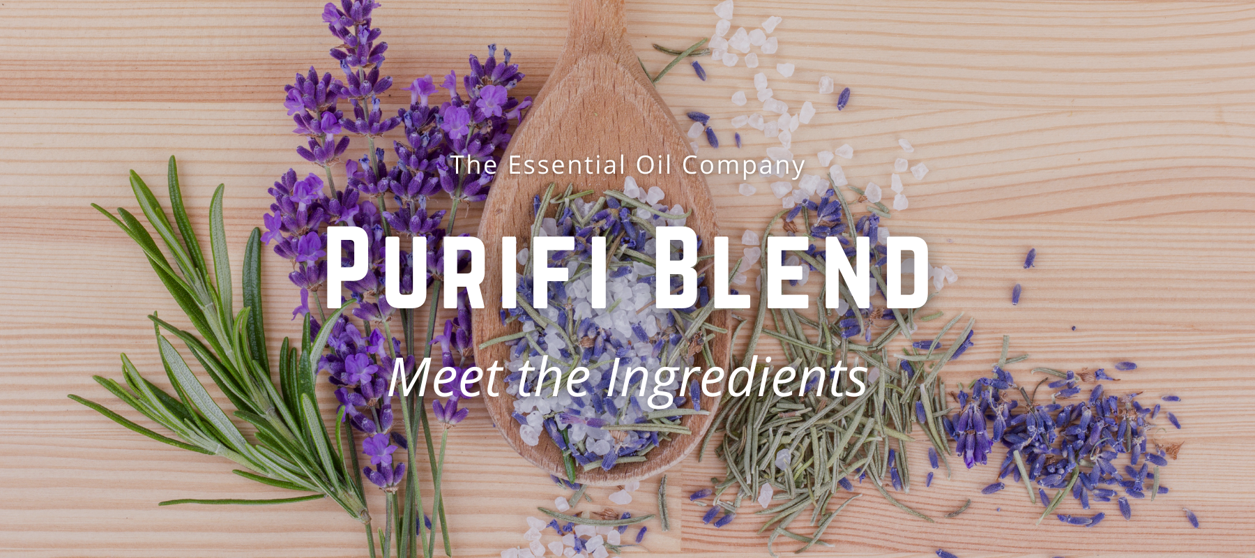 Purifi Blend: Meet the Ingredients