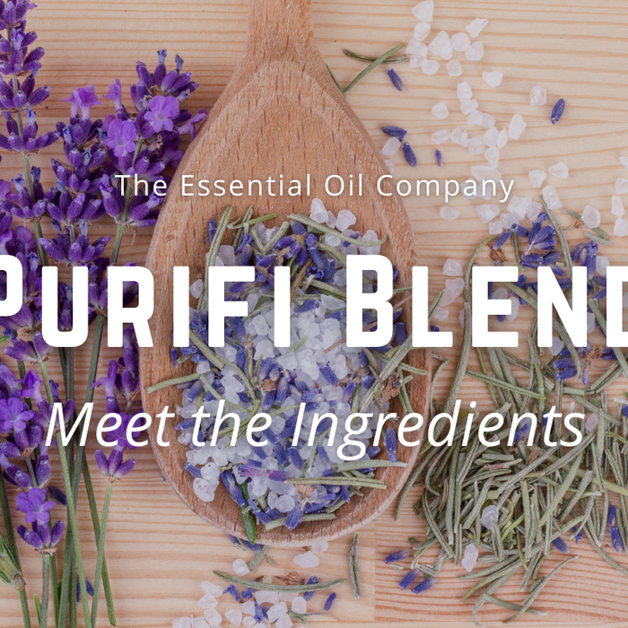 Purifi Blend: Meet the Ingredients