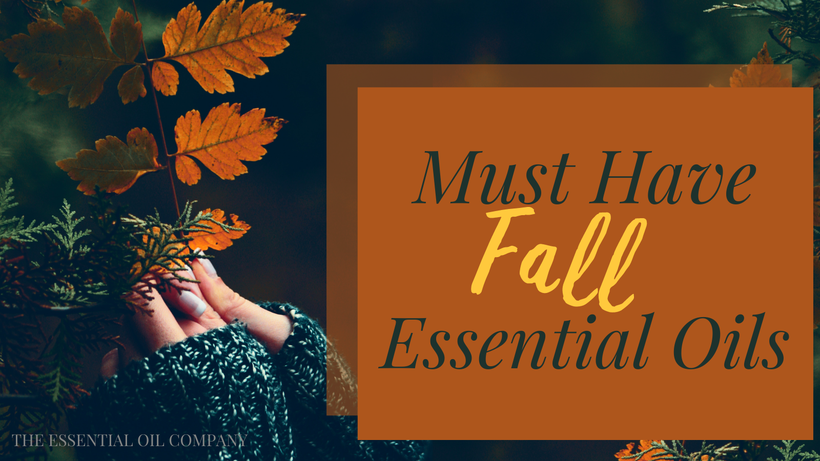 must have fall essential oils