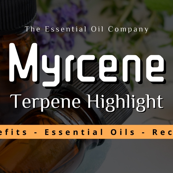 Myrcene: Terpene Highlight