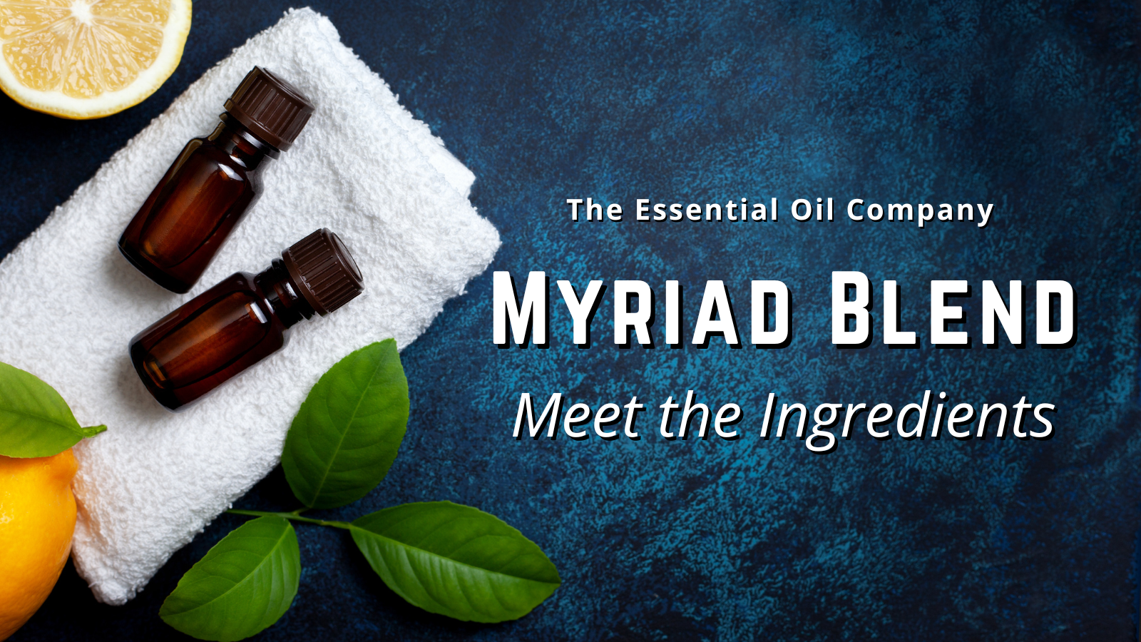 Myriad: Meet the Ingredients