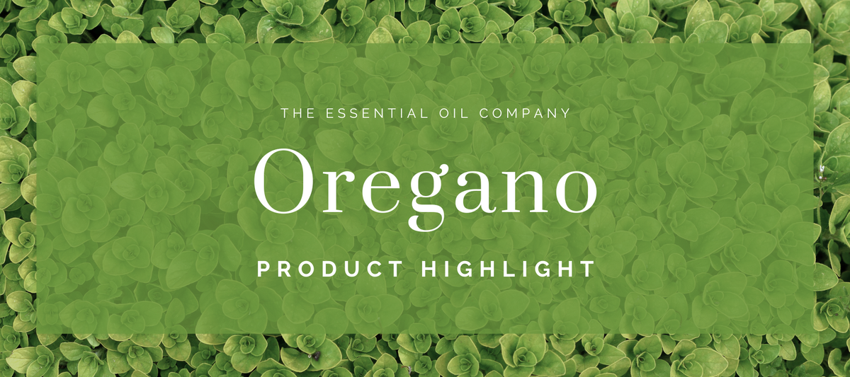 Oregano Essential Oil: Plant, History and Distillation – The Essential ...